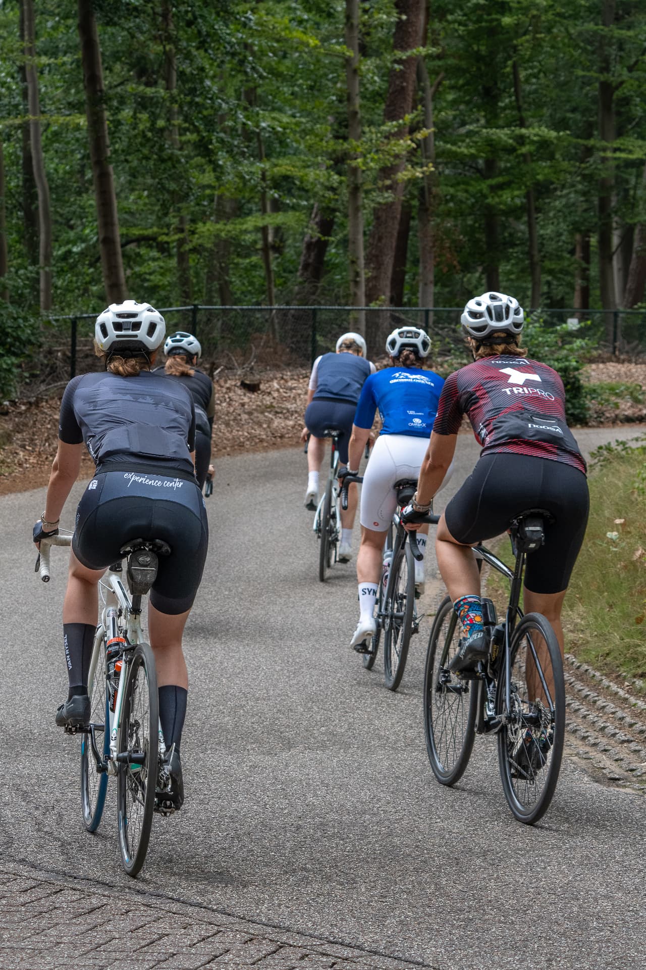 Groep Fietsvrouwen onderweg over een bosweg tijdens een clubrit