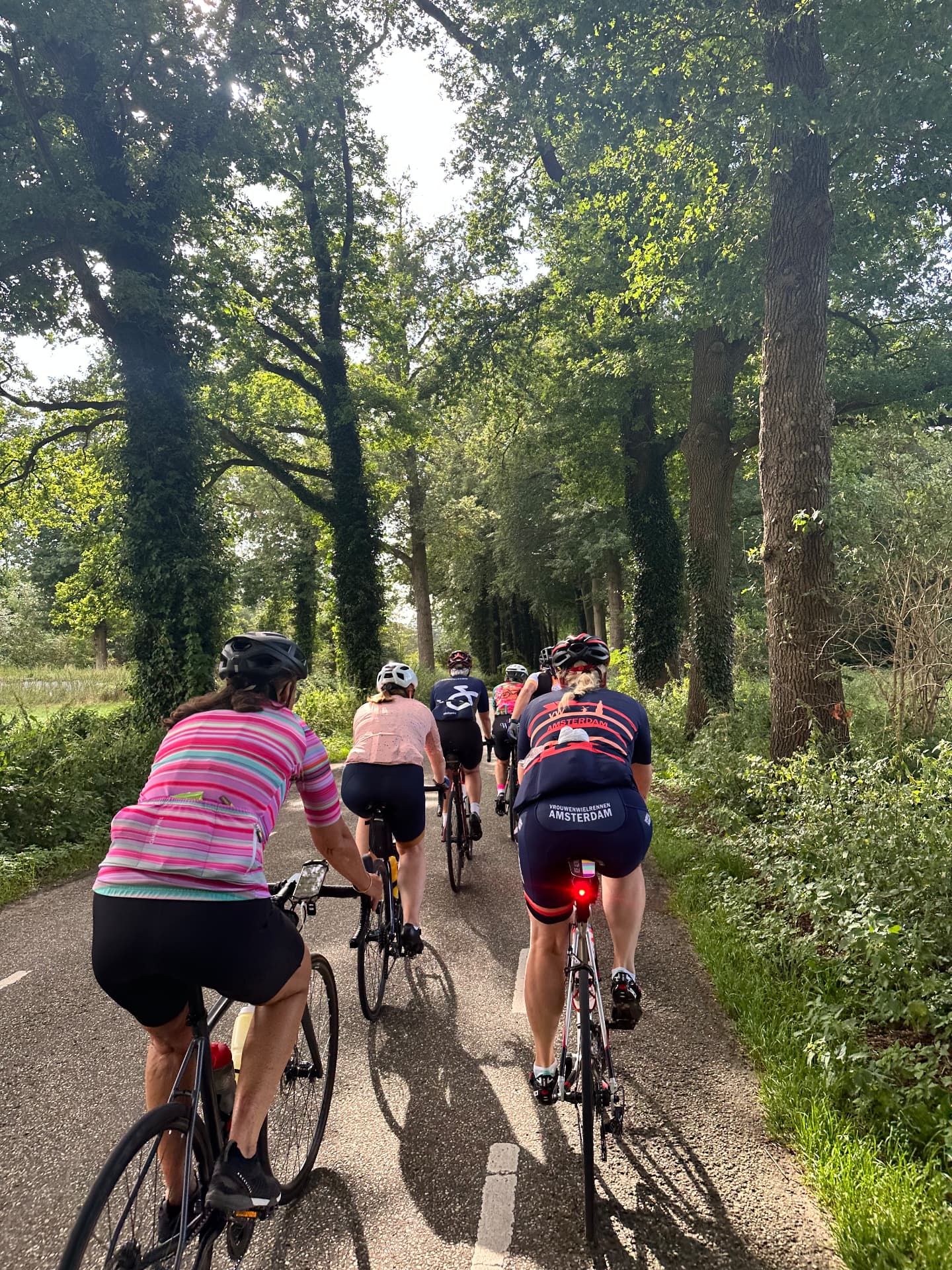 Sfeer van een eerdere Fietsvrouwen-rit: de groep fietst door een bomenlaan
