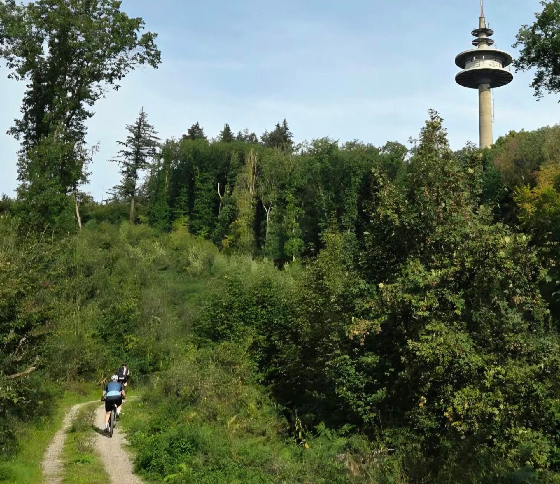 Mountainbikers op een bospad met de toren van het Drielandenpunt op de achtergrond