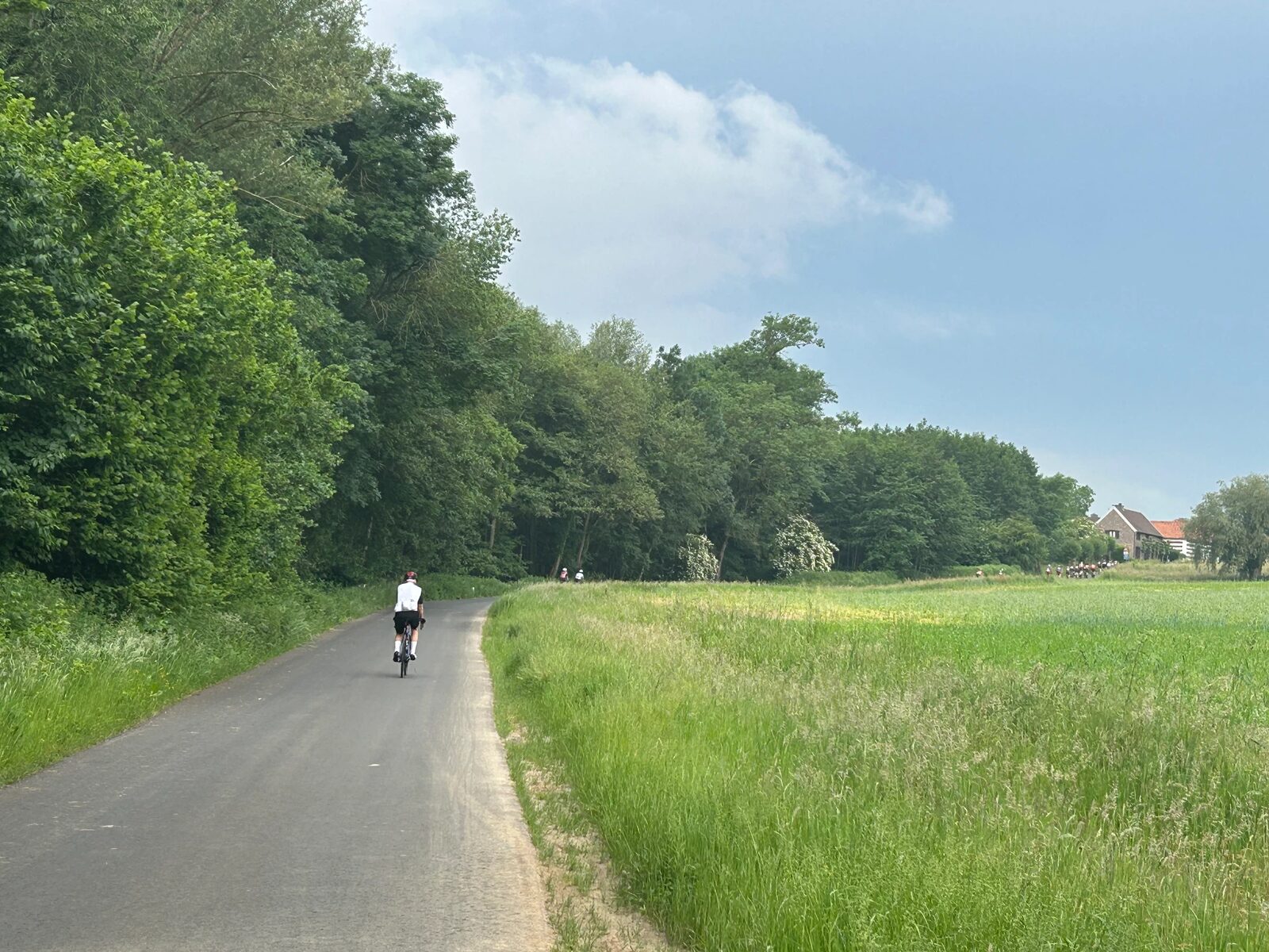 Wielrenster op een rustig fietspad tussen bos en weiland in Zuid-Limburg