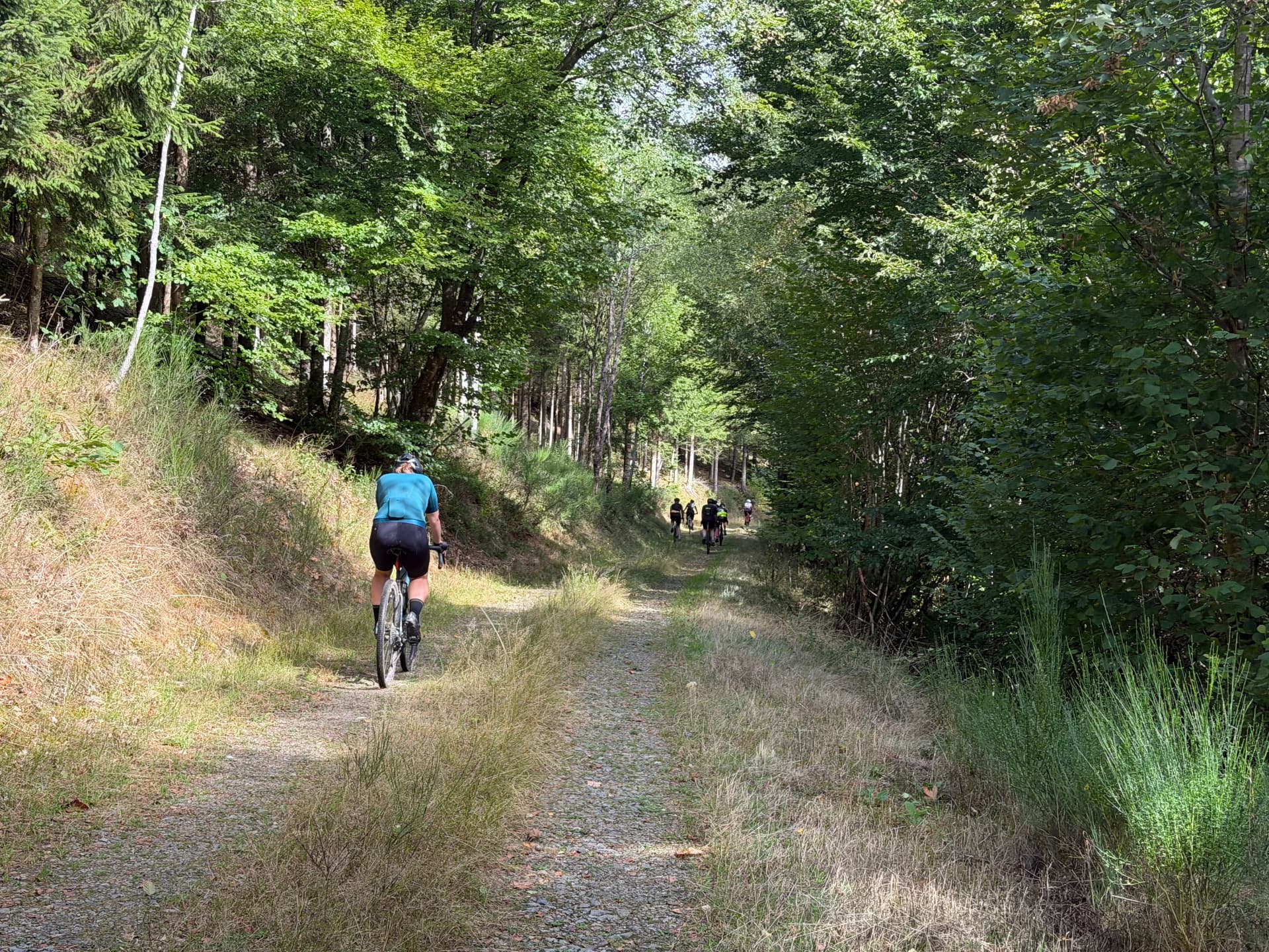 Sfeer van een eerdere Fietsvrouwen-rit in de Ardennen: een deelneemster fietst over een bospad