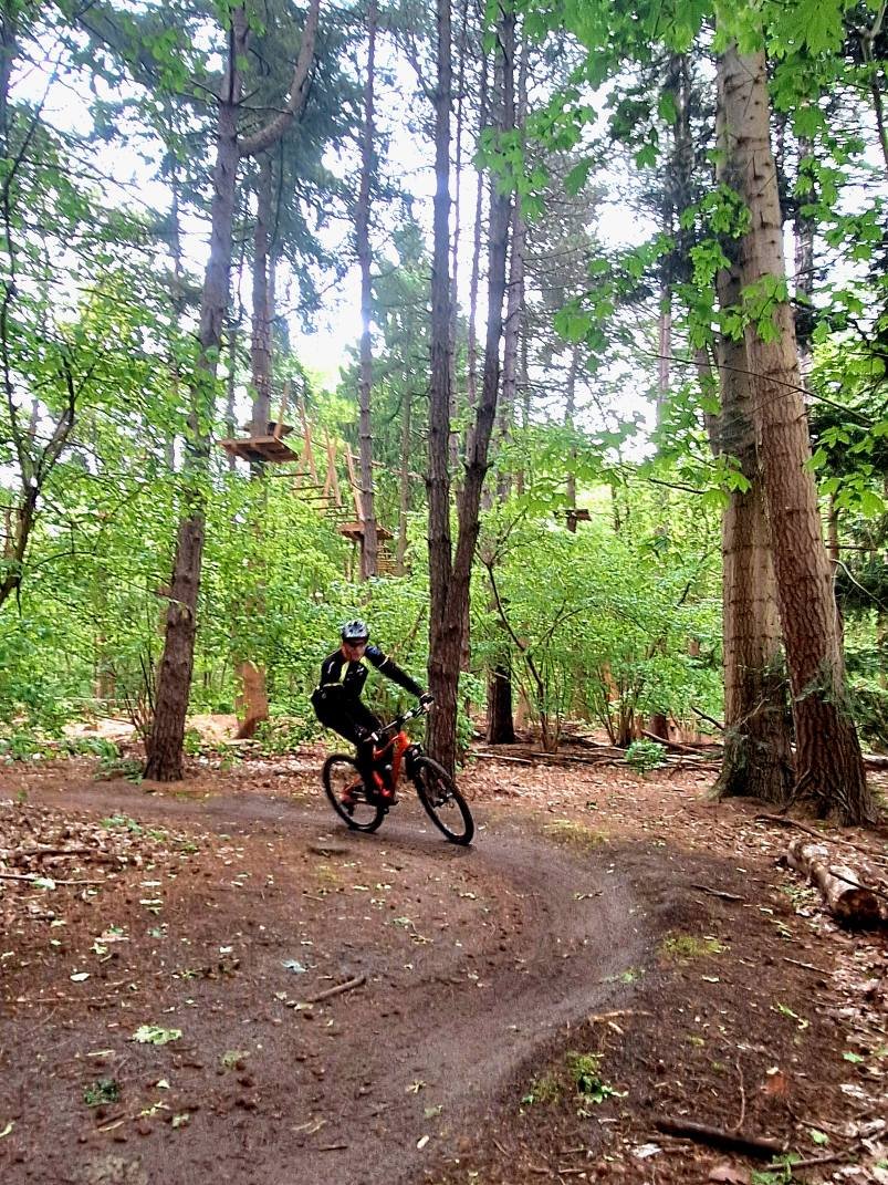 Mountainbiker in een bocht op een bospad in het Boerbos bij Rolde
