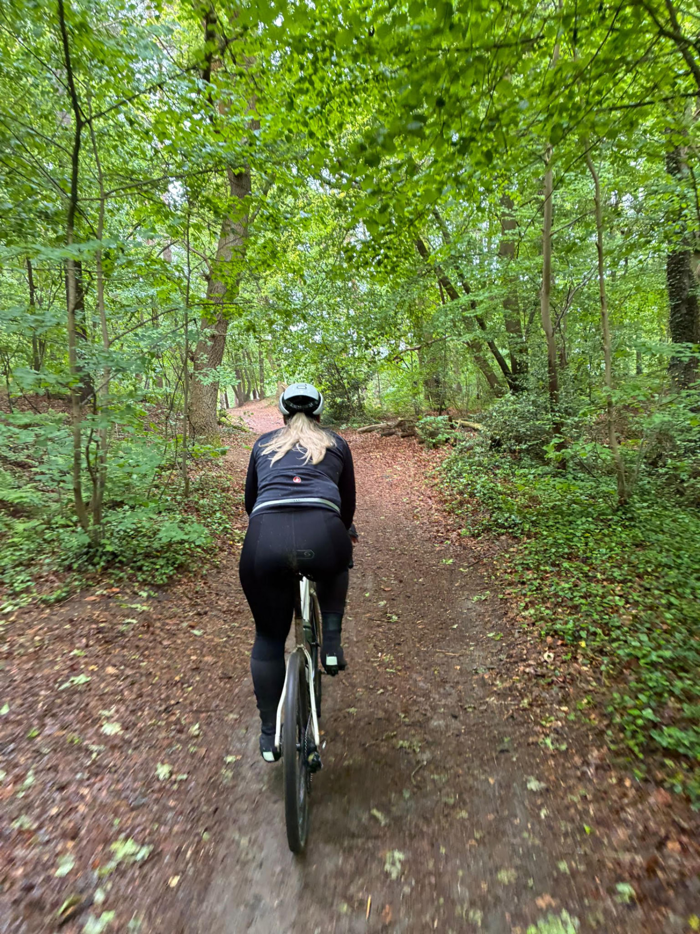 Gravelfietster op een bospad vol bladeren tijdens de 70 km van Strade Sallandia