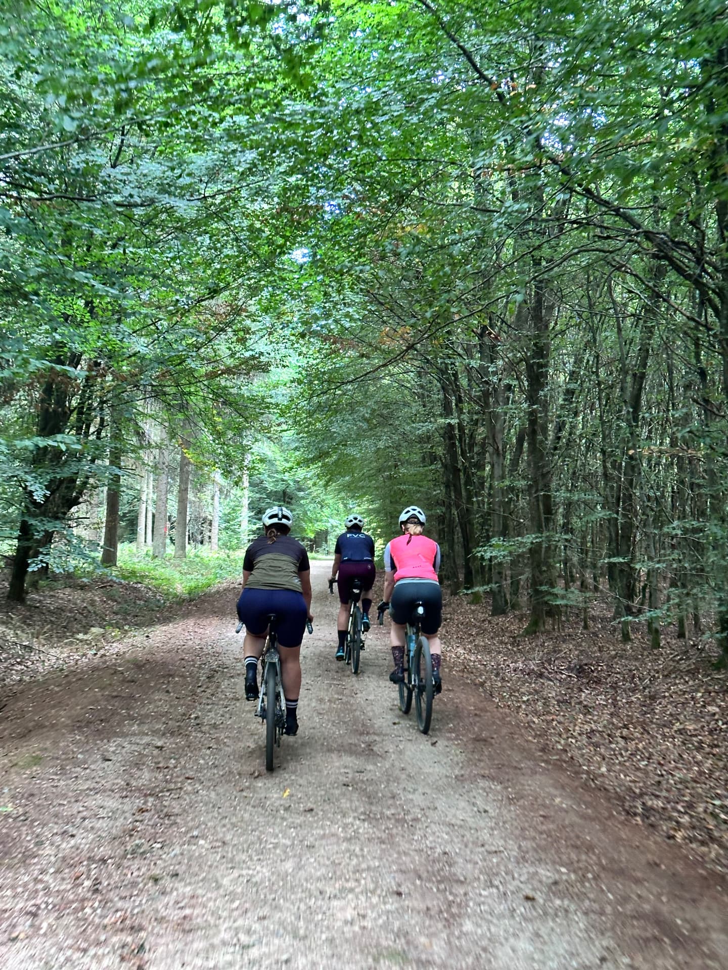 Sfeer van een eerdere Fietsvrouwen-rit in de Ardennen: drie deelneemsters fietsen door een groene bosweg